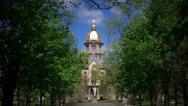 The Golden Dome of the University of Notre Dame is framed by green trees under a blue sky.